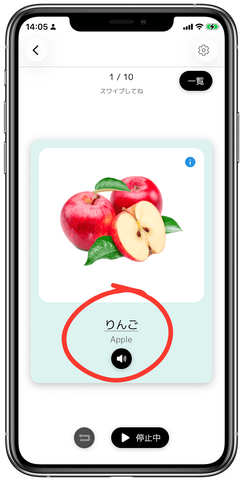 単語カードに多言語訳が表示されている画面｜ことばたんけん 日本語フラッシュカード 音声つき 幼児 3歳 4歳 5歳